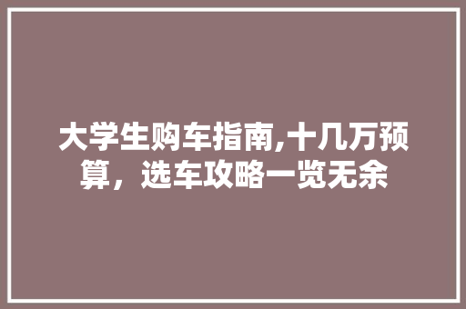 大学生购车指南,十几万预算，选车攻略一览无余  第1张