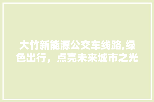大竹新能源公交车线路,绿色出行，点亮未来城市之光