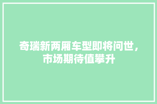 奇瑞新两厢车型即将问世，市场期待值攀升  第1张