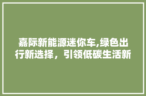 嘉际新能源迷你车,绿色出行新选择，引领低碳生活新风尚
