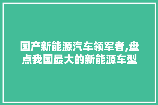 国产新能源汽车领军者,盘点我国最大的新能源车型  第1张