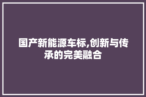 国产新能源车标,创新与传承的完美融合  第1张