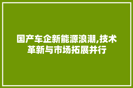 国产车企新能源浪潮,技术革新与市场拓展并行  第1张