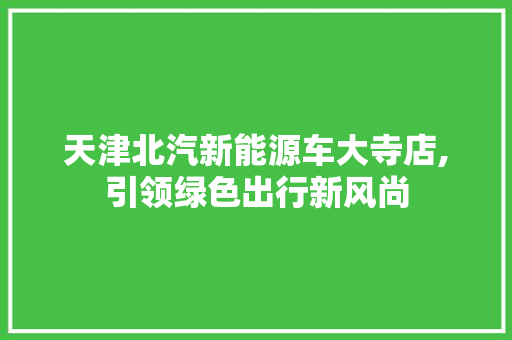 天津北汽新能源车大寺店,引领绿色出行新风尚