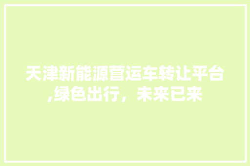 天津新能源营运车转让平台,绿色出行，未来已来  第1张