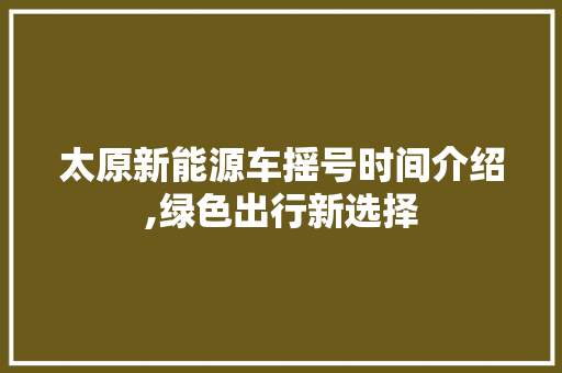 太原新能源车摇号时间介绍,绿色出行新选择  第1张