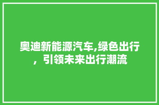 奥迪新能源汽车,绿色出行，引领未来出行潮流  第1张
