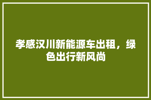 孝感汉川新能源车出租，绿色出行新风尚