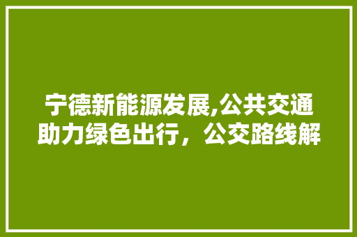 宁德新能源发展,公共交通助力绿色出行，公交路线解读