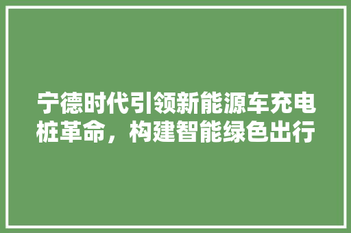 宁德时代引领新能源车充电桩革命，构建智能绿色出行新生态