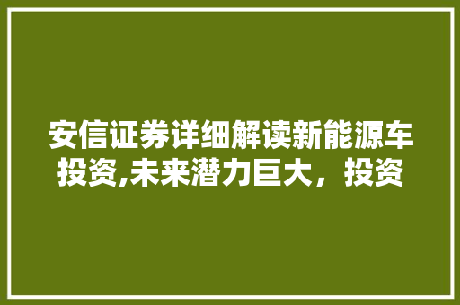 安信证券详细解读新能源车投资,未来潜力巨大，投资机会不容错过