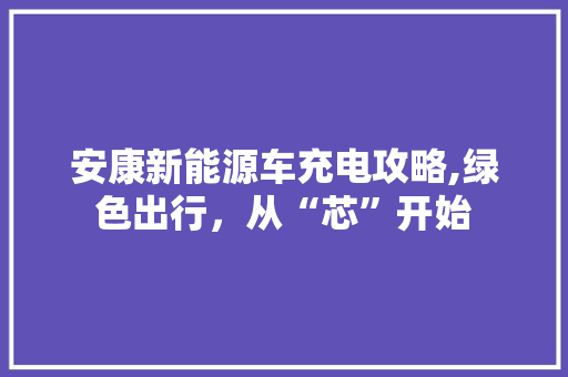 安康新能源车充电攻略,绿色出行，从“芯”开始  第1张