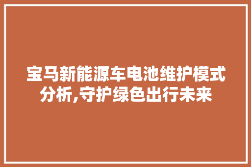 宝马新能源车电池维护模式分析,守护绿色出行未来  第1张