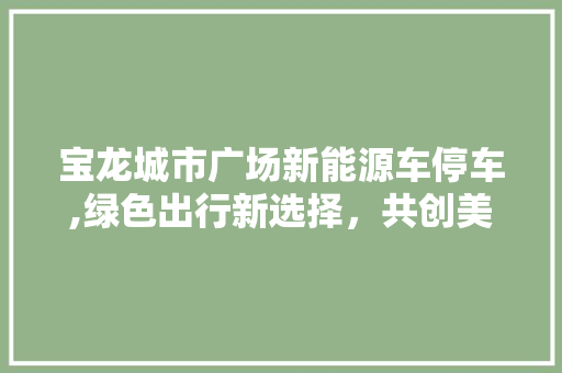 宝龙城市广场新能源车停车,绿色出行新选择，共创美好未来