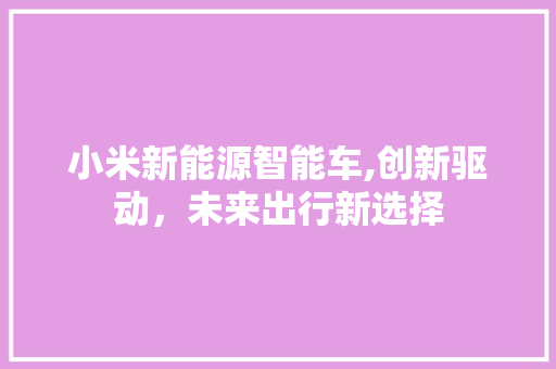 小米新能源智能车,创新驱动，未来出行新选择  第1张