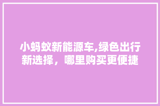 小蚂蚁新能源车,绿色出行新选择，哪里购买更便捷  第1张