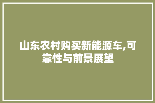 山东农村购买新能源车,可靠性与前景展望  第1张