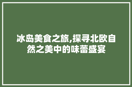 冰岛美食之旅,探寻北欧自然之美中的味蕾盛宴