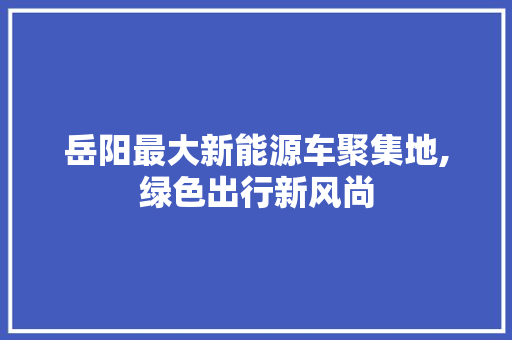 岳阳最大新能源车聚集地,绿色出行新风尚  第1张