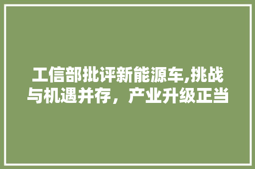 工信部批评新能源车,挑战与机遇并存，产业升级正当时  第1张