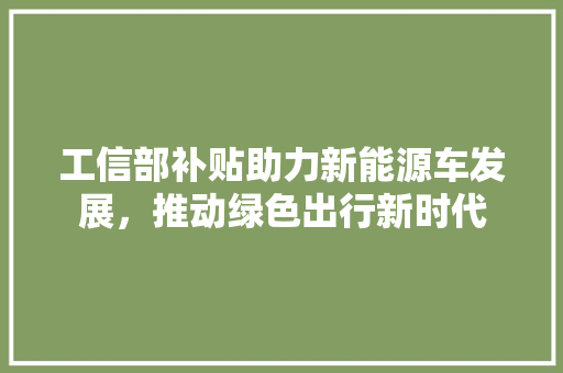 工信部补贴助力新能源车发展，推动绿色出行新时代  第1张