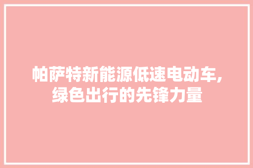 帕萨特新能源低速电动车,绿色出行的先锋力量