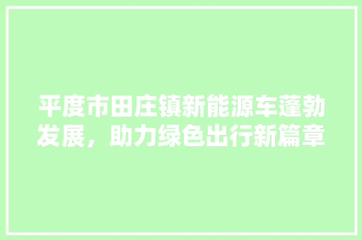 平度市田庄镇新能源车蓬勃发展，助力绿色出行新篇章