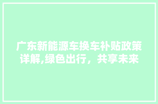 广东新能源车换车补贴政策详解,绿色出行，共享未来  第1张