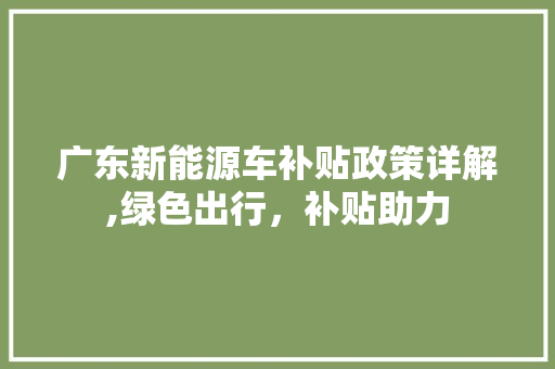 广东新能源车补贴政策详解,绿色出行，补贴助力  第1张