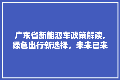 广东省新能源车政策解读,绿色出行新选择，未来已来  第1张