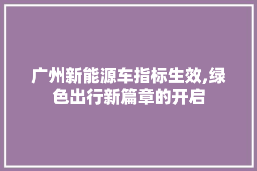 广州新能源车指标生效,绿色出行新篇章的开启