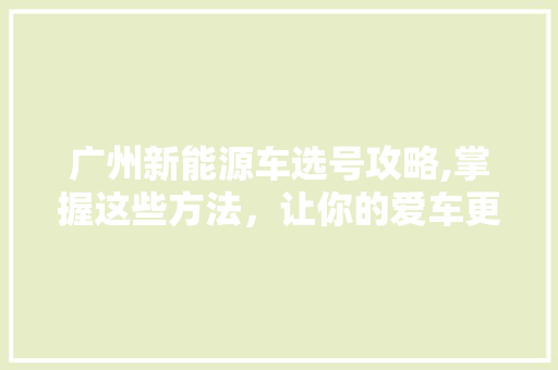 广州新能源车选号攻略,掌握这些方法，让你的爱车更独特！  第1张