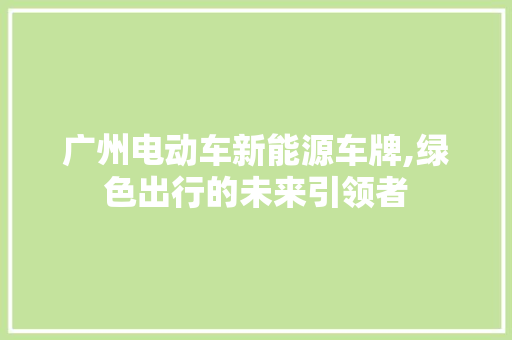 广州电动车新能源车牌,绿色出行的未来引领者  第1张