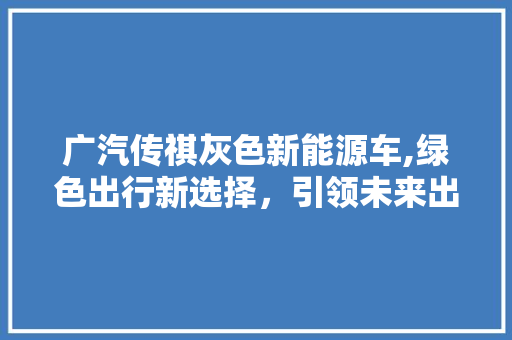 广汽传祺灰色新能源车,绿色出行新选择，引领未来出行潮流  第1张