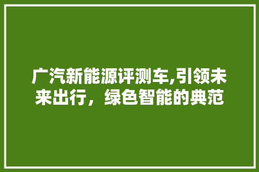 广汽新能源评测车,引领未来出行，绿色智能的典范