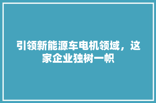 引领新能源车电机领域，这家企业独树一帜  第1张