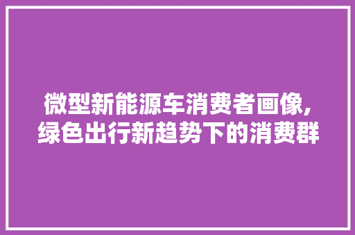微型新能源车消费者画像,绿色出行新趋势下的消费群体分析  第1张