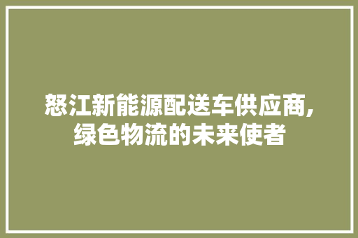 怒江新能源配送车供应商,绿色物流的未来使者