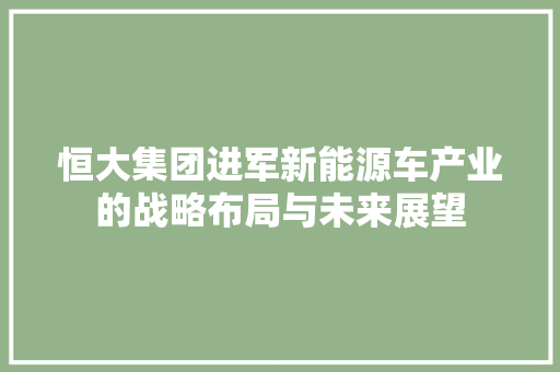 恒大集团进军新能源车产业的战略布局与未来展望  第1张