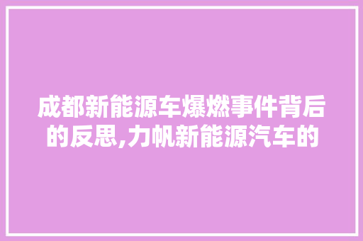 成都新能源车爆燃事件背后的反思,力帆新能源汽车的安全隐患与行业监管挑战  第1张