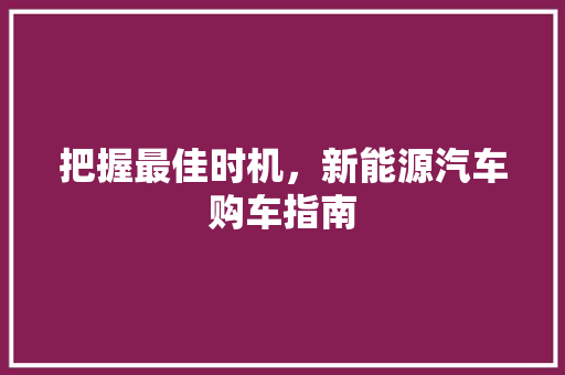 把握最佳时机，新能源汽车购车指南  第1张