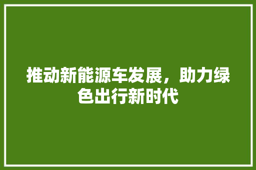 推动新能源车发展，助力绿色出行新时代  第1张