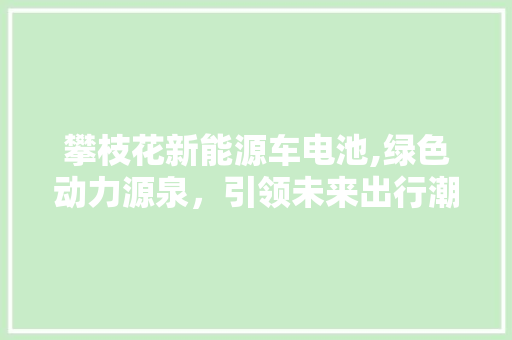 攀枝花新能源车电池,绿色动力源泉，引领未来出行潮流  第1张