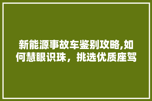 新能源事故车鉴别攻略,如何慧眼识珠，挑选优质座驾  第1张