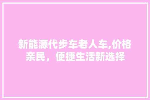 新能源代步车老人车,价格亲民，便捷生活新选择  第1张