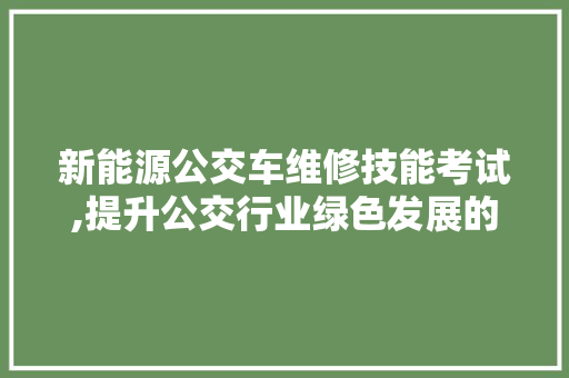 新能源公交车维修技能考试,提升公交行业绿色发展的关键一环