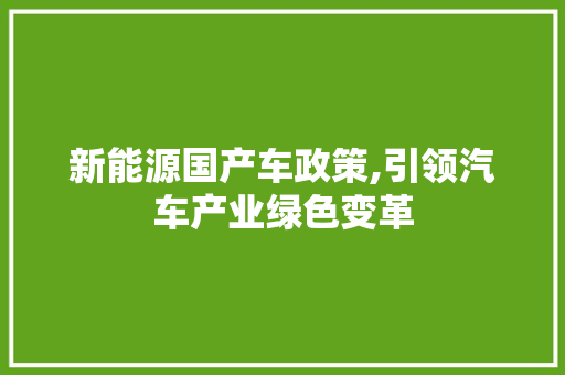 新能源国产车政策,引领汽车产业绿色变革  第1张