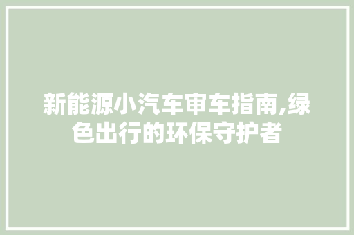 新能源小汽车审车指南,绿色出行的环保守护者  第1张