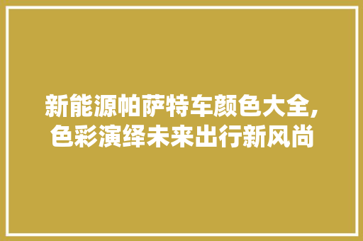 新能源帕萨特车颜色大全,色彩演绎未来出行新风尚