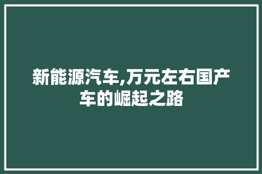 新能源汽车,万元左右国产车的崛起之路  第1张